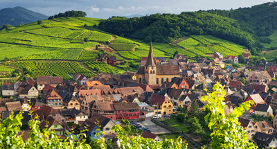 Taste of Alsace ~ Wednesday, August 2!