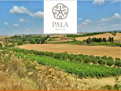 Wednesday Wine Tasting with Pala Wines and Special Guest, Fabio Angius!