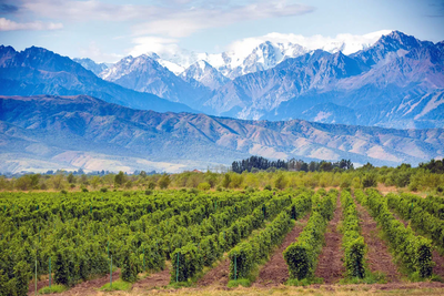 A Tour of the Terroir of Argentina