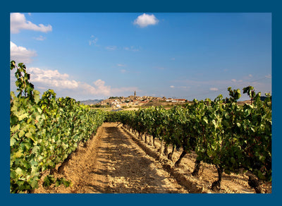 ¡Viva España! A Spanish Wine Tasting with Sarah Dillon And Special Guest, Philippe Broom!