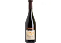 Domaine Couly-Dutheil Chinon La Coulee Automnale